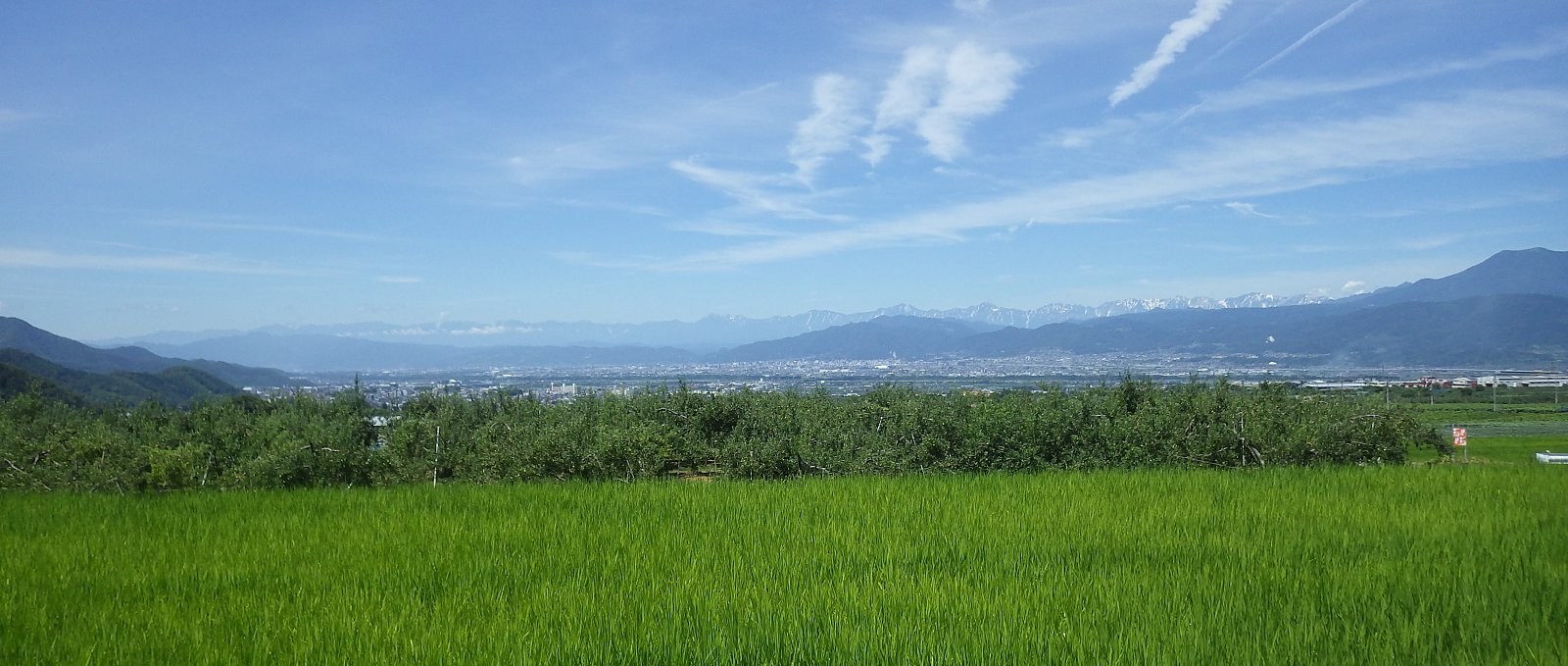 �����������������ȓy�p�N�̓�