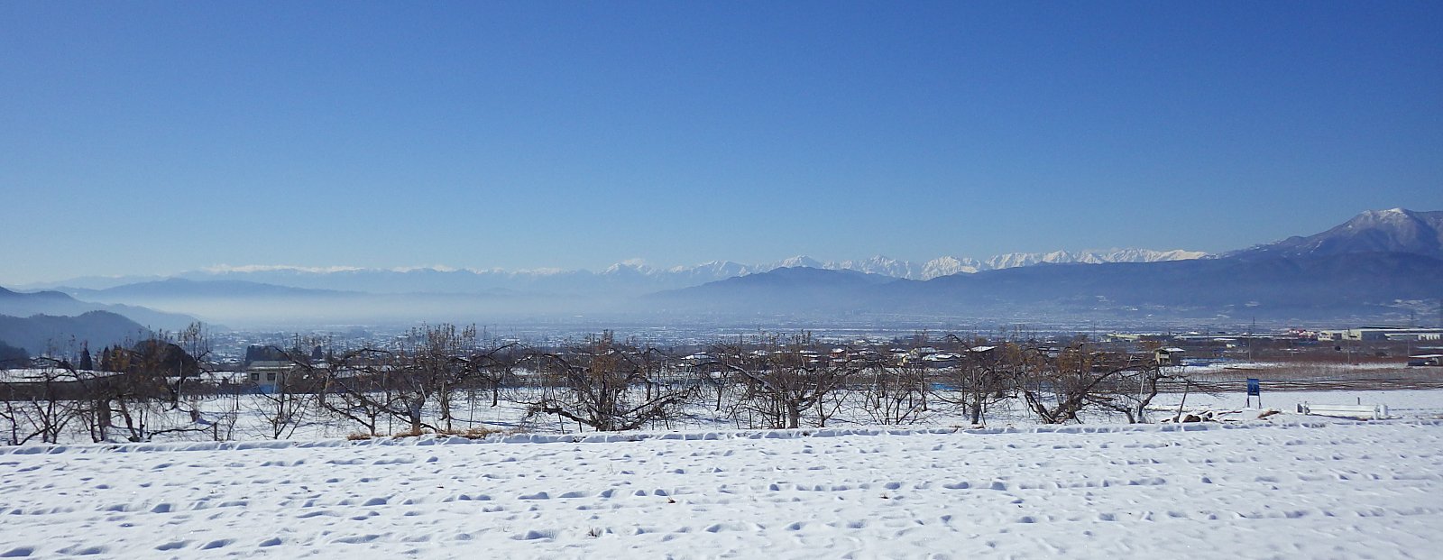 �N�̐��̒�������̋␢�E