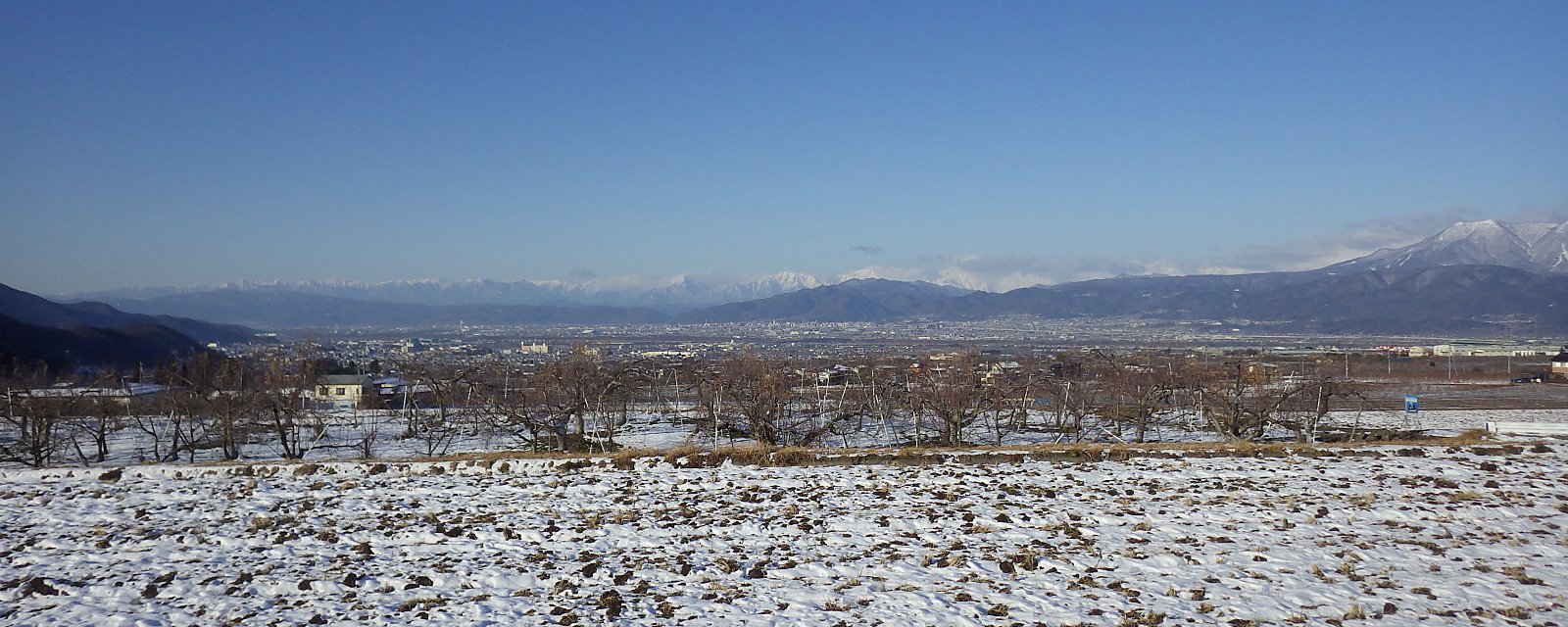 �c�ނɐႪ���鏬���O���̒�