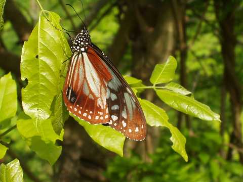 �A�T�M�}�_��