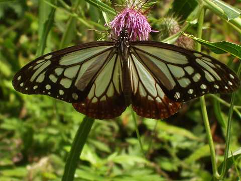 �A�T�M�}�_��