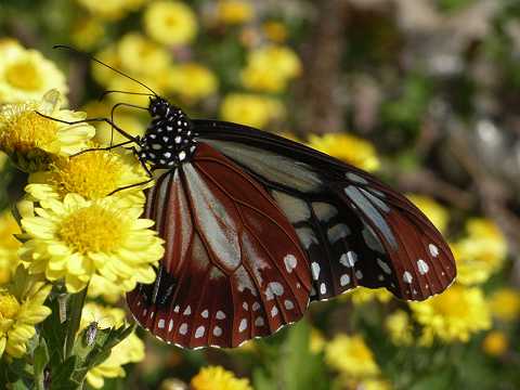 �A�T�M�}�_��