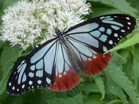 �A�T�M�}�_��