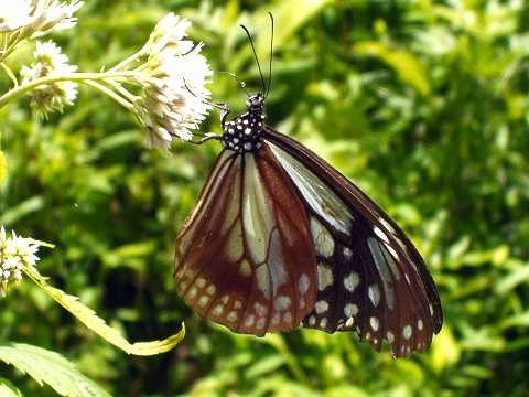 �A�T�M�}�_��