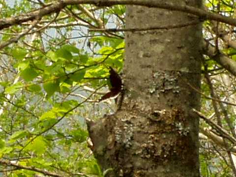 �L�x���^�e�n