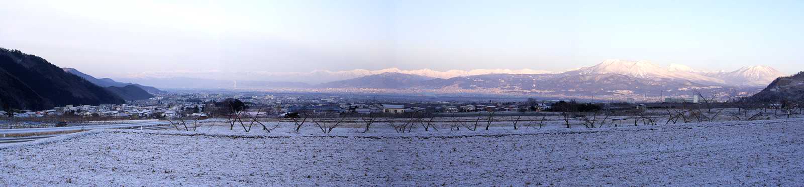 �������݂ɗ₦���񂾒��̃p�m���}�ʐ^��\�����܂�