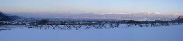 �[���̖閾���̃p�m���}�ʐ^��\�����܂�