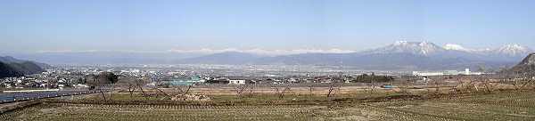 ���񂾏t�̒��̃p�m���}�ʐ^��\�����܂�