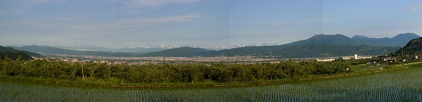 �~�J�̒��x��