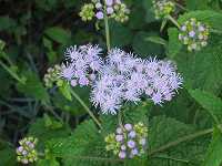 �A�Q���^��