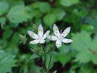 �A�P�{�m�\�E