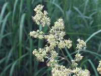 �A�L�J���}�c