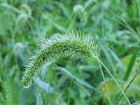 �A�L�m�G�m�R���O�T