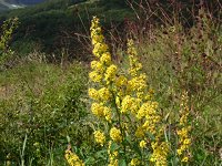 �A�L�m�L�����\�E