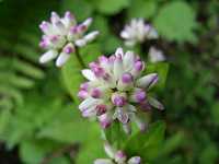 �A�L�m�E�i�M�c�J�~