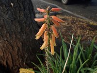 �L�_�`�A���G