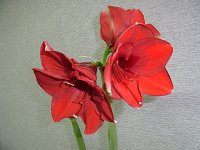 �A�}�����X