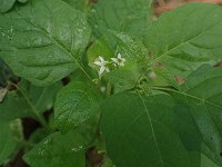 �A�����J�C�k�z�I�Y�L