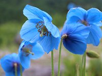 �q�}�����m�A�I�C�P�V