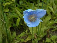 �q�}�����m�A�I�C�P�V