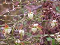 �A�I�W�N�X�m�L