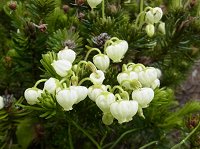 �A�I�m�c�K�U�N��