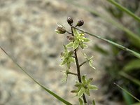 �A�I���M�\�E