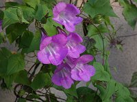 �c���L���M���\�E