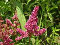 �A�X�`���x