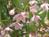 �x�j�o�i�G�S�m�L