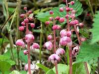 �x�j�o�i�C�`���N�\�E