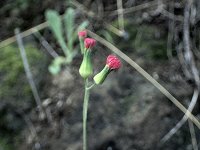 �x�j�j�K�i