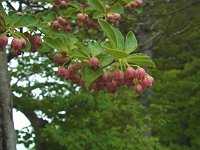 �x�j�T���T�h�E�_��