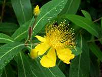 �r���E���i�M