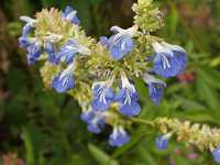 �{�b�O�Z�[�W