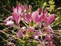 �Z�C���E�t�E�`���E�\�E