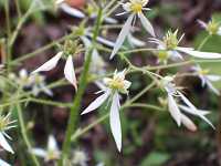 �_�C�����W�\�E