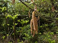 �_�P�J���o