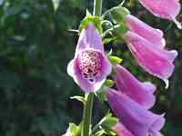 �W�M�^���X