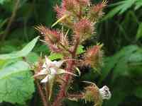 �G�r�K���C�`�S