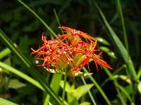 �G���r�Z���m�E