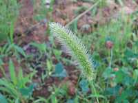 �G�m�R���O�T