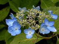 �G�]�A�W�T�C