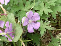 �G�]�t�E��