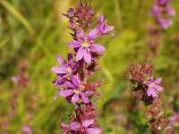 �G�]�~�\�n�M