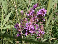 �G�]�~�\�n�M