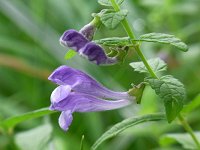 �G�]�i�~�L