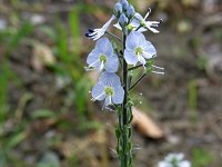 �G�]�m�J���W�V��