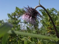 �G�]�m�T���A�U�~