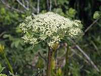 �G�]�m�V�V�E�h